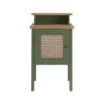 Mesa Lateral Auxiliar Moderna Bertolini Charlotte para Sala con 1 Puerta color Verde Roble
