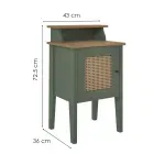 Medidas de una Mesa Lateral Auxiliar Moderna Bertolini Charlotte para Sala con 1 Puerta color Verde Roble